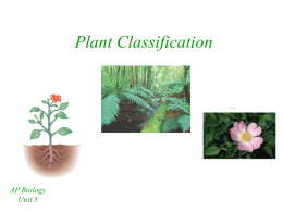Plant Classification - mvhs