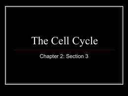 The Cell Cycle - 7th Grade Science