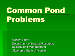 Common Pond Problems - Department of Natural Resource Ecology