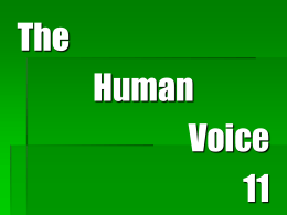 The Human Voice - workharddreambig