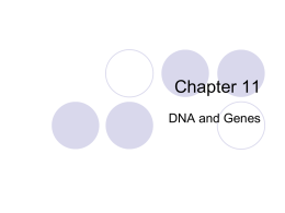Chapter 11 - biologywithbengele