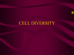 09.1 Cell Diversity and Classification