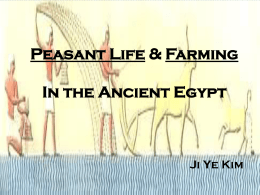 Peasant Life and Farming In the