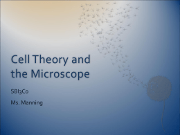 Cell Theory and the Microscope - bramalea2010