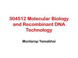 Molecular Cloning I - Suranaree University of Technology