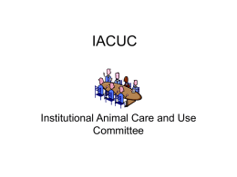 iacuc - Office of Sponsored Programs