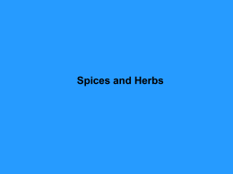 Herbs and Spices - Biology at the University of Illinois at Urbana