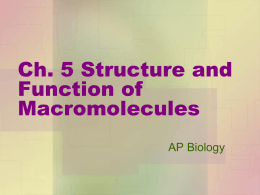 Ch. 5 Structure and Function of Macromolecules