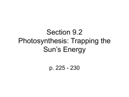 Section 9.2 Photosynthesis: Trapping the Sun`s Energy