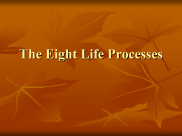 The Eight Life Processes