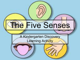The Five Senses - Maryville City Schools