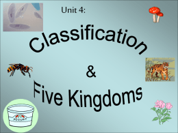 Classification and Five Kingdoms