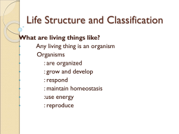 Life Structure and Classification Chpt 8