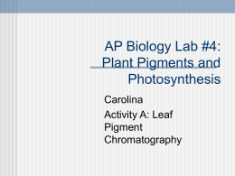 AP Biology Lab #4: Plant Pigments and Photosynthesis
