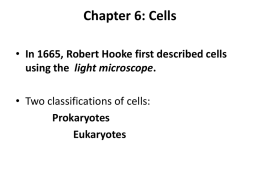 Chapter 7: Cells What 17th century invention led to the discovery of