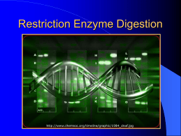 Restriction Enzyme Digestion
