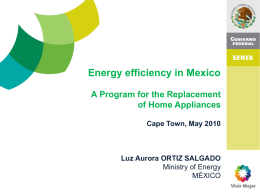 Energy Efficiency in Mexico - Electricity Governance Initiative