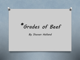 Grades of Beef