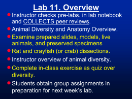 Laboratory 12