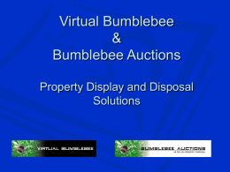 Powerpoint Overview - Bumblebee Auctions