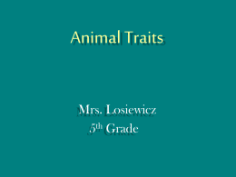Animal Traits - WilkesIntegratingTechnology