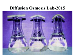 Diffusion Osmosis Lab ppt - Phillips Scientific Methods