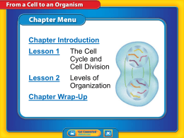 7th Grade Chapter 3 From Cell to Organism