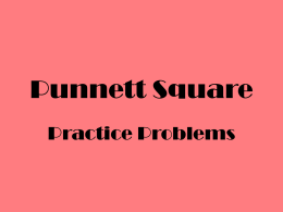 punnett square practice