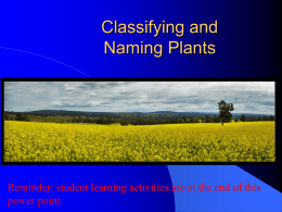 PowerPoint - New Mexico Agricultural Education FFA Association