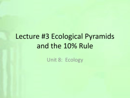 Lecture #4 Ecological Pyramids and the 10% Rule