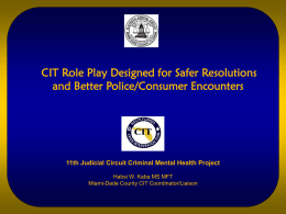 11th Judicial Circuit Criminal Mental Health Project