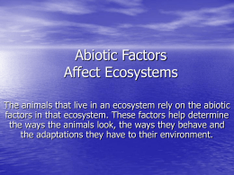 Abiotic Factors Affect the Ecosystem