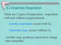 6-2 Anaerobic Respiration