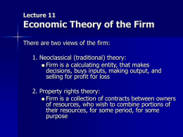Lecture 11 The firm