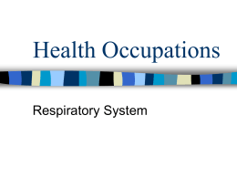 HOC 1 - 18 Respiratory System