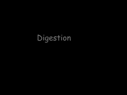Digestion - BSHSciences