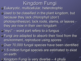 Biology 20 Diversity of Life PowerPoint part 3.pps