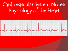 Cardio Notes Part 3: Physiology