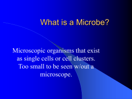 What is a Microbe?