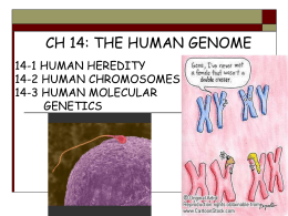 Ch 14 The Human Genome - YISS