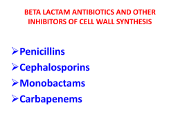 beta lactam antibiotics and other inhibitors of cell wall synthesis