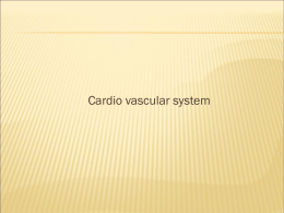 Cardio Vascular System (Power Point Document)