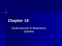 Functions of the cardiovascular system