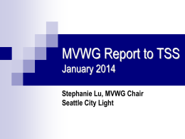 MVWG 2014-1 Report to TSS Presentation