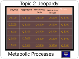 Metabolism Jeapardy 2.6,2.8,2.9