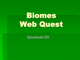 Biomes Web quest
