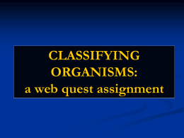 classifying organisms - Y10-Biology-SG