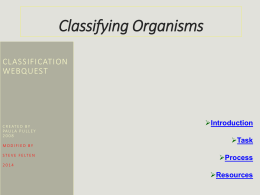 Classifying Organisms Webquest