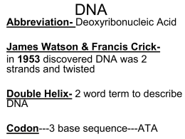 DNA RNA - Belle Vernon Area School District