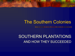 Chapter 7 The Southern Colonies